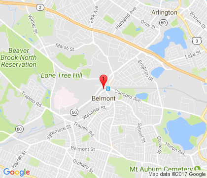 United Garage Door Repair Service Belmont, MA 617-941-6111 United Garage Door Repair Service Belmont, MA 617-941-6111